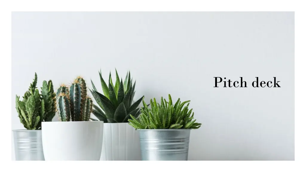 pitch deck n.w