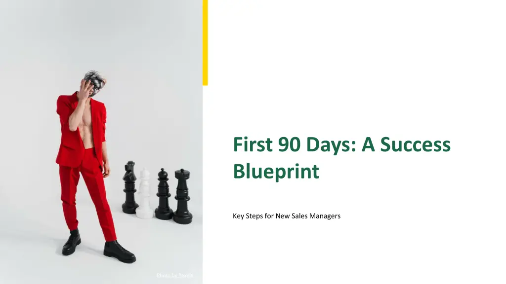 first 90 days a success blueprint n.w