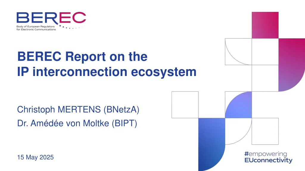 berec report on the ip interconnection ecosystem n.w