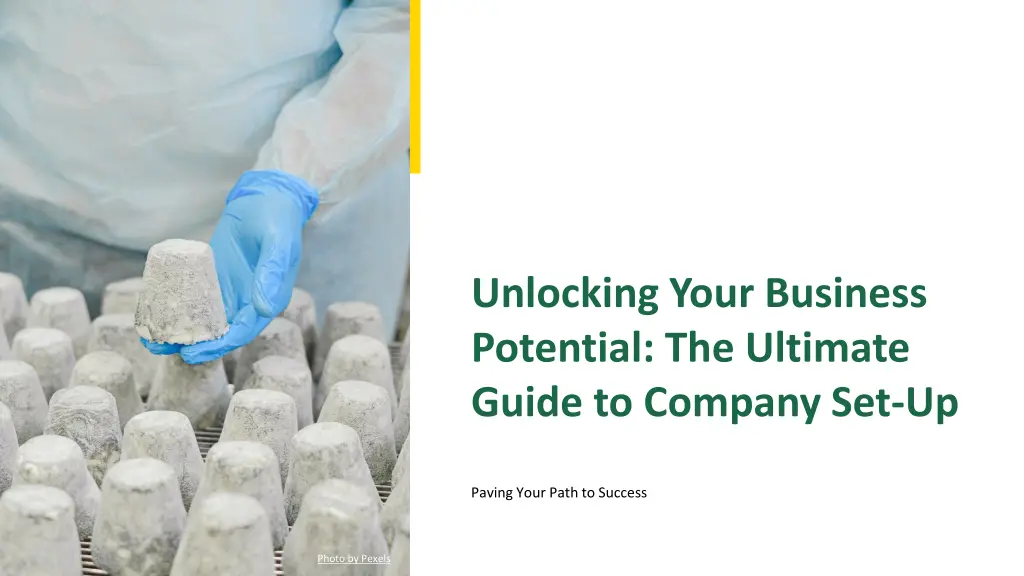 unlocking your business potential the ultimate n.w