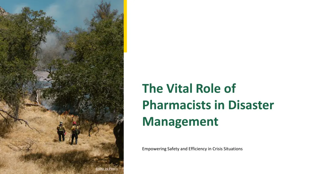 the vital role of pharmacists in disaster n.w
