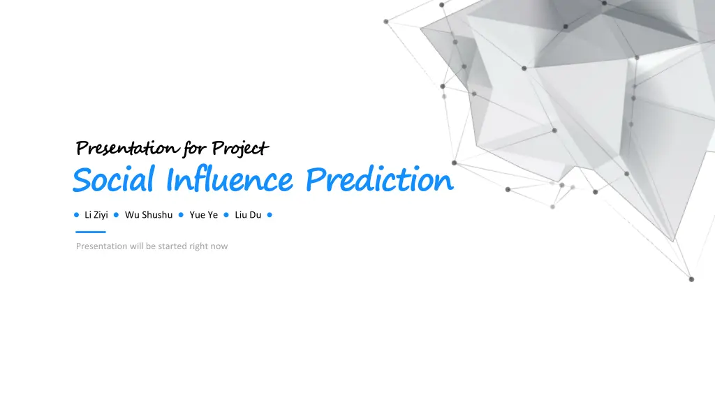 presentation for project n.w