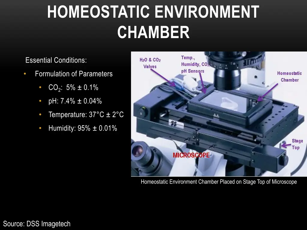 homeostatic environment chamber n.w