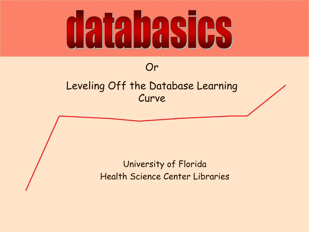 databasics n.w
