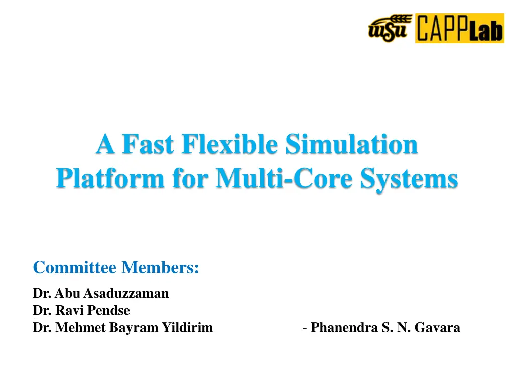 a fast flexible simulation platform for multi n.w