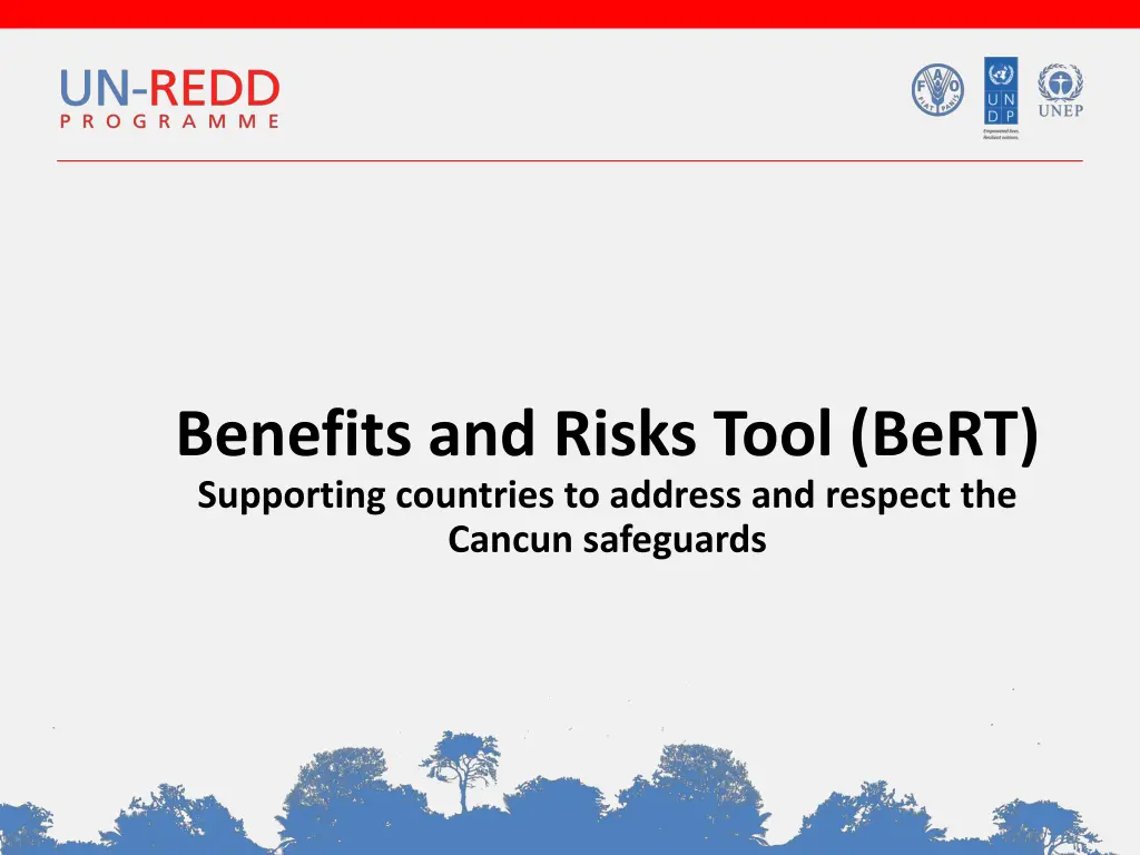 benefits and risks tool bert supporting countries n.w