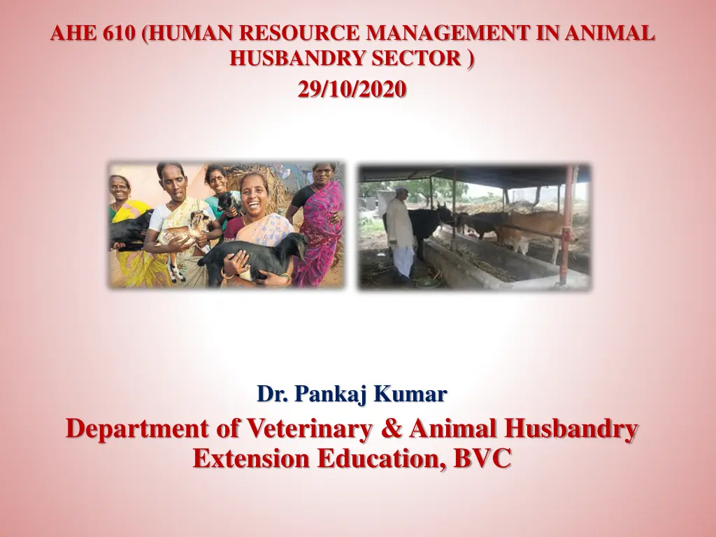 ahe 610 human resource management in animal n.w