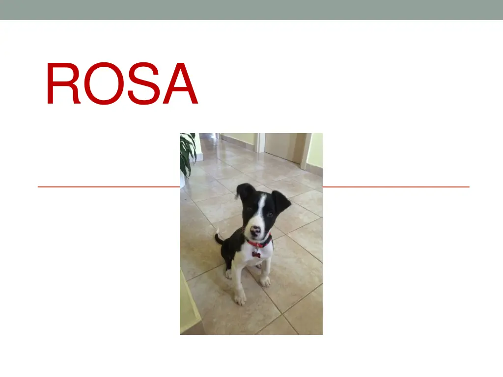 slide1 n.w