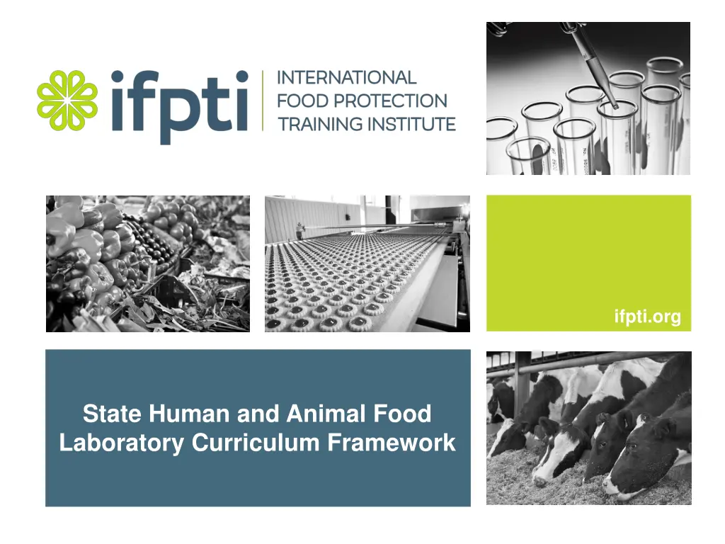 ifpti org n.w