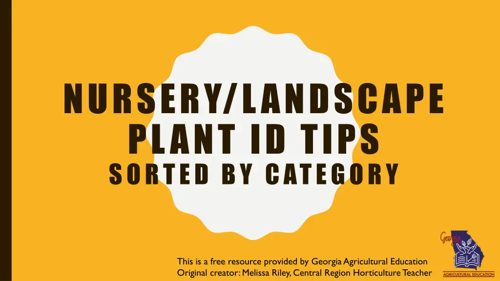 nursery landscape plant id tips sorted by category n.w