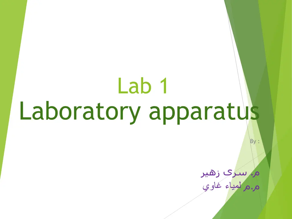 lab 1 n.w