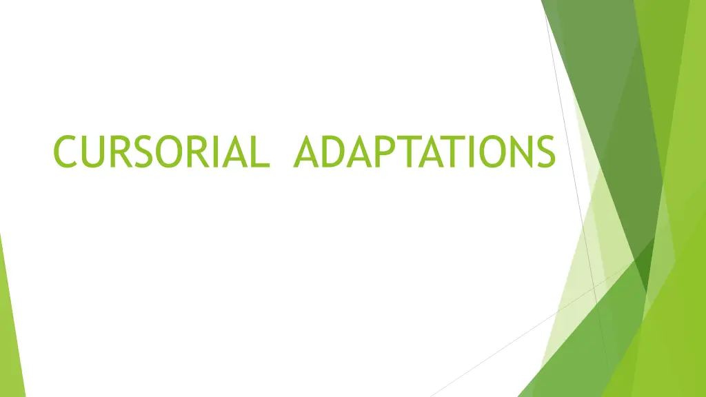 cursorial adaptations n.w