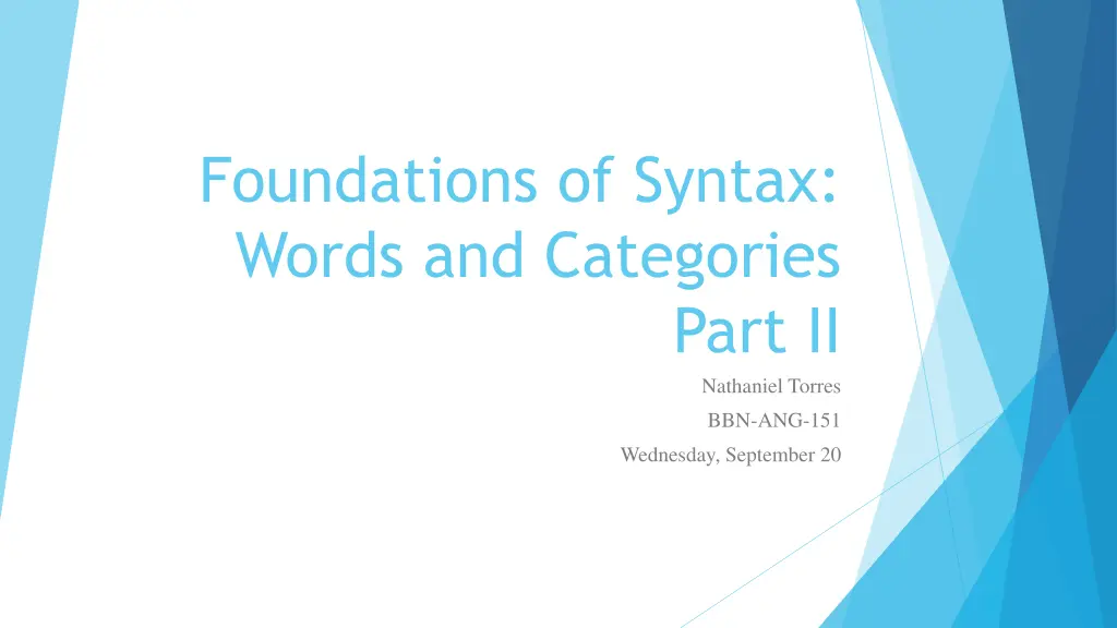 foundations of syntax words and categories n.w