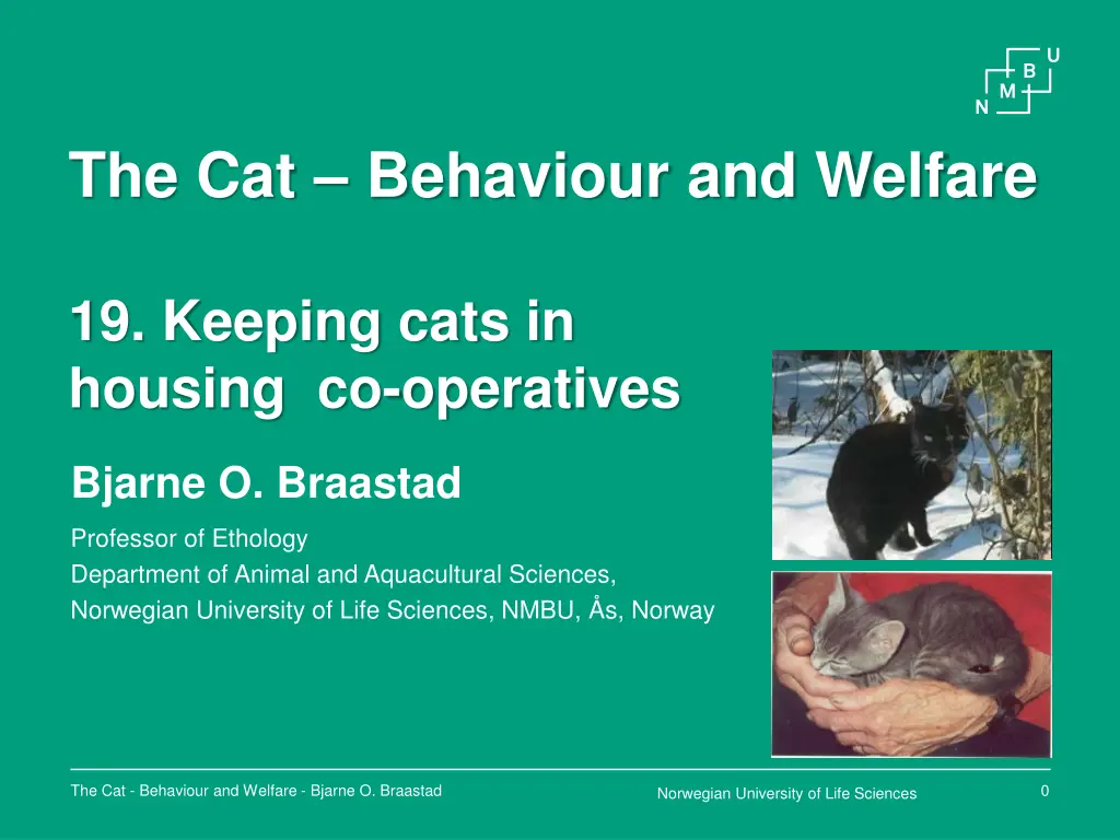 the cat behaviour and welfare n.w