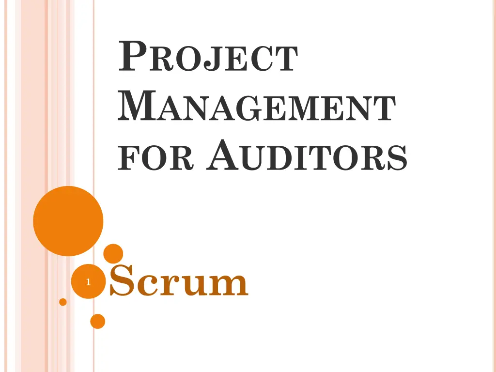 p roject m anagement for a uditors n.w