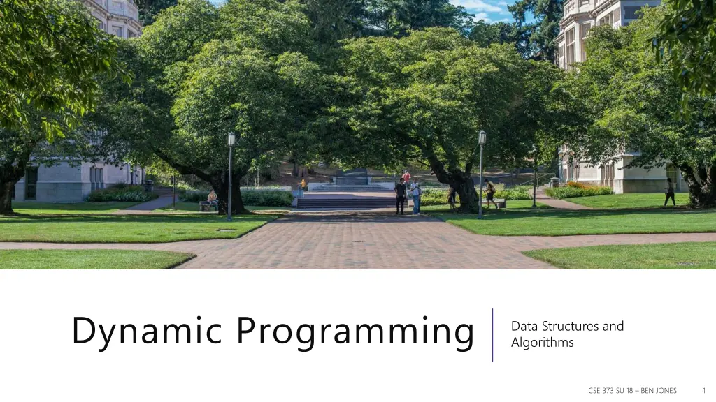 dynamic programming n.w