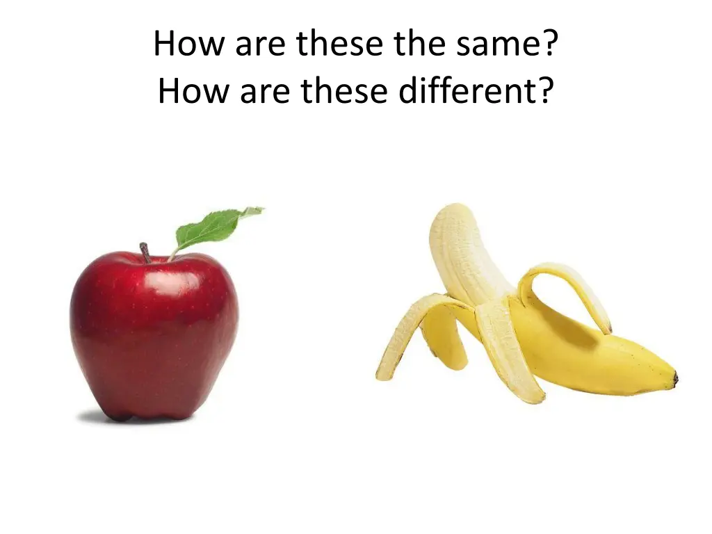 how are these the same how are these different n.w