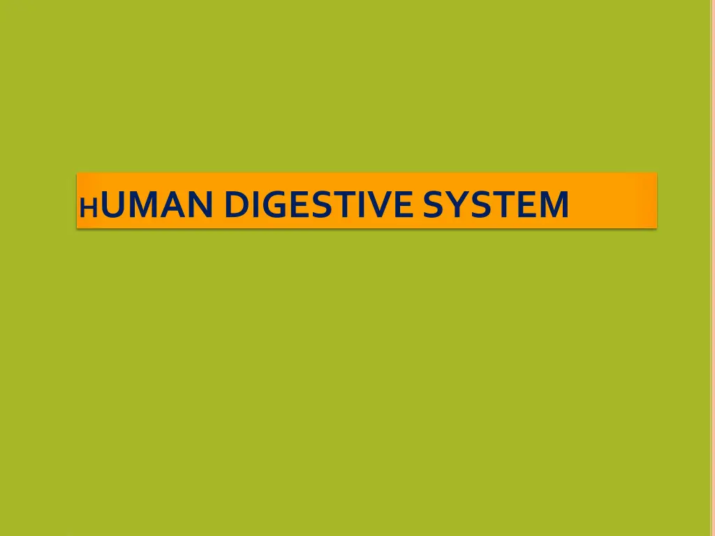 h uman digestive system n.w
