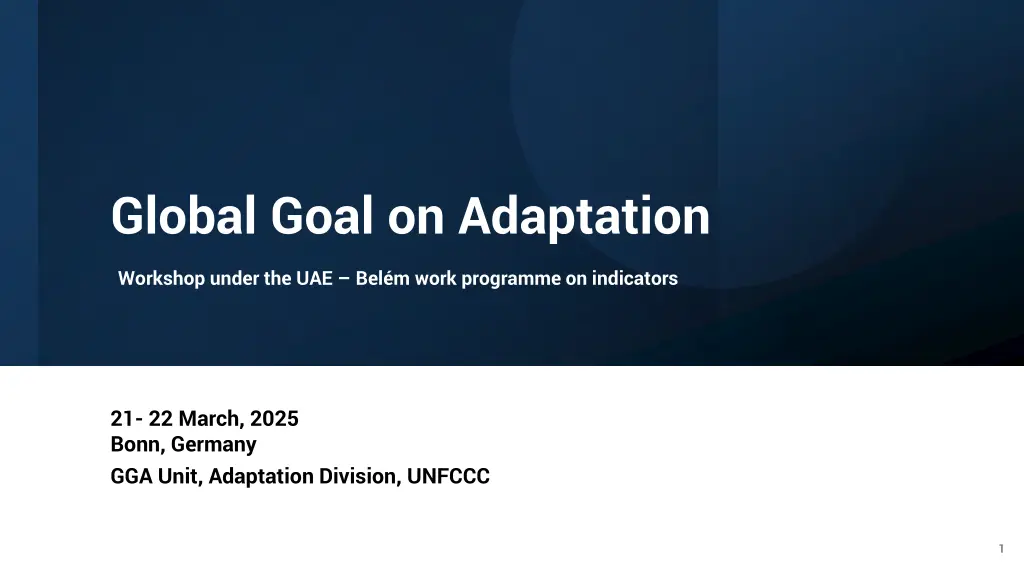global goal on adaptation n.w