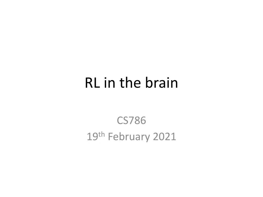 rl in the brain n.w