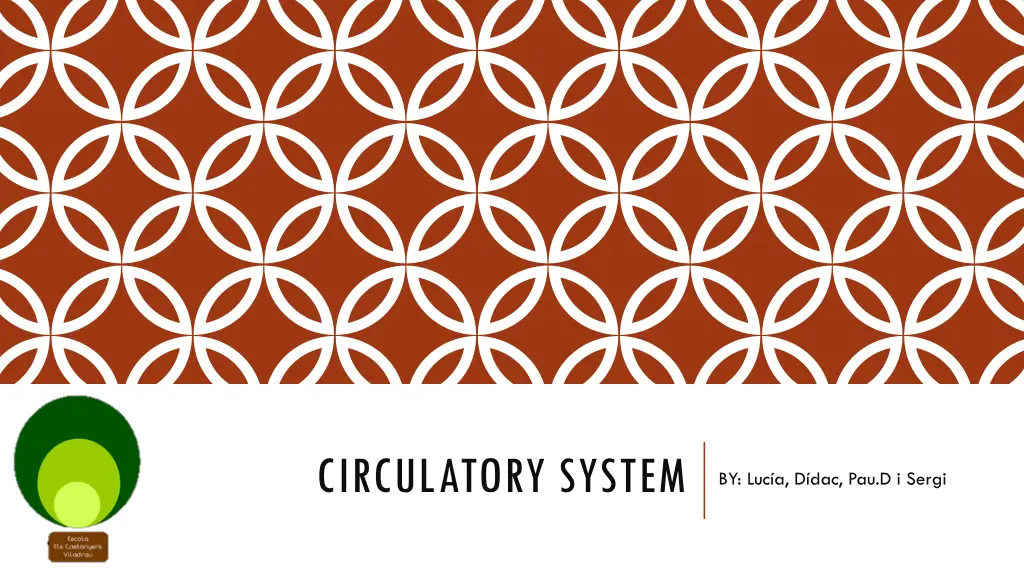 circulatory system n.w