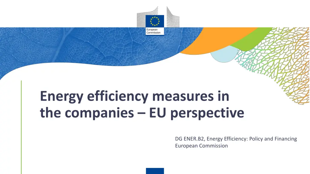energy efficiency measures in the companies n.w