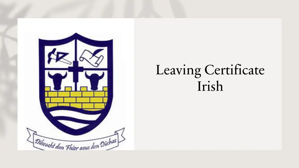 leaving certificate irish n.w