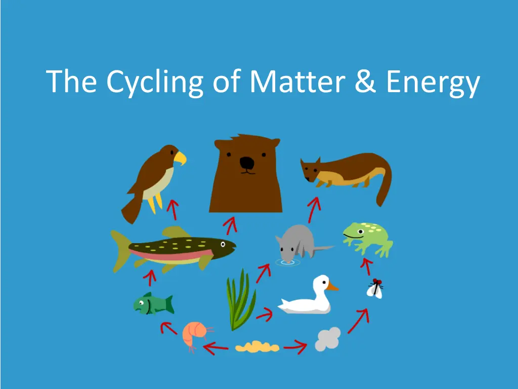 the cycling of matter energy n.w