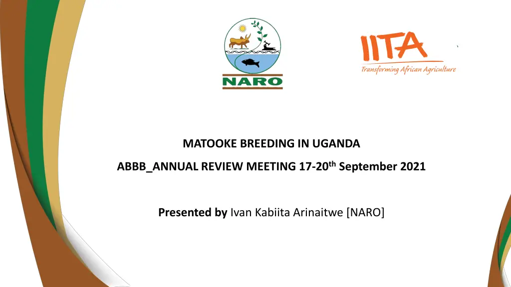 matooke breeding in uganda n.w