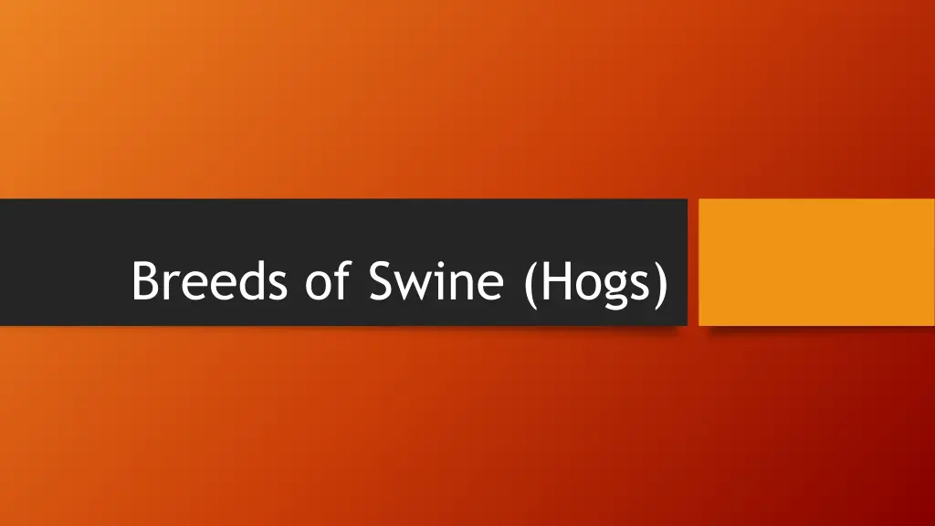 breeds of swine hogs n.w