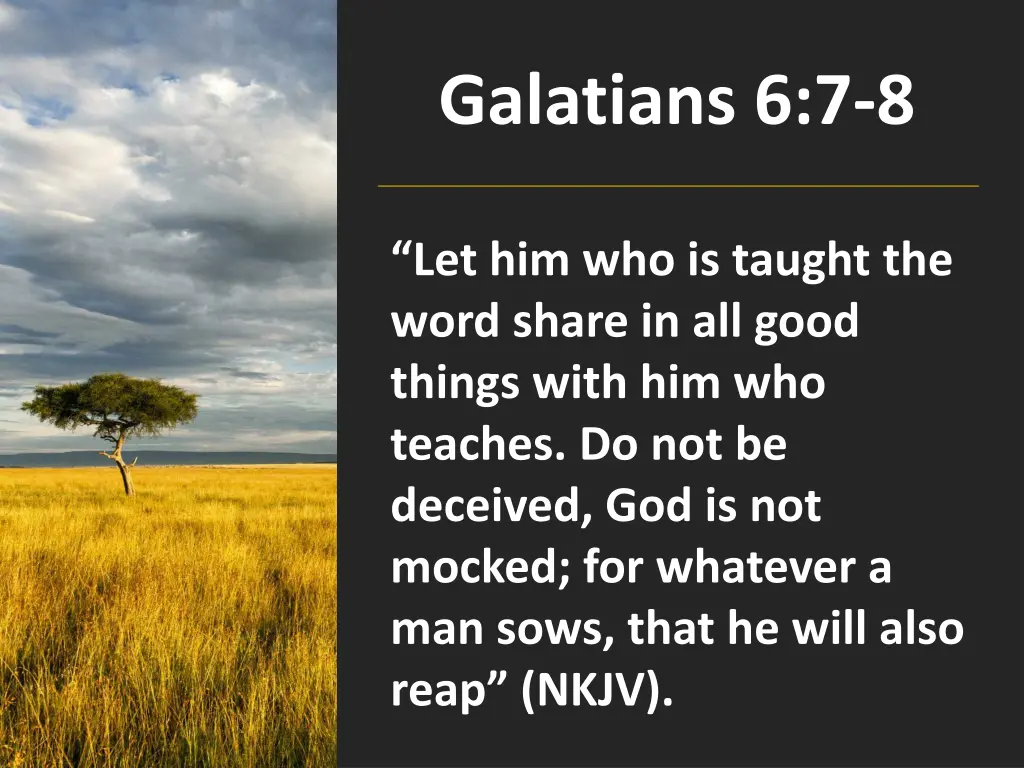 galatians 6 7 8 n.w