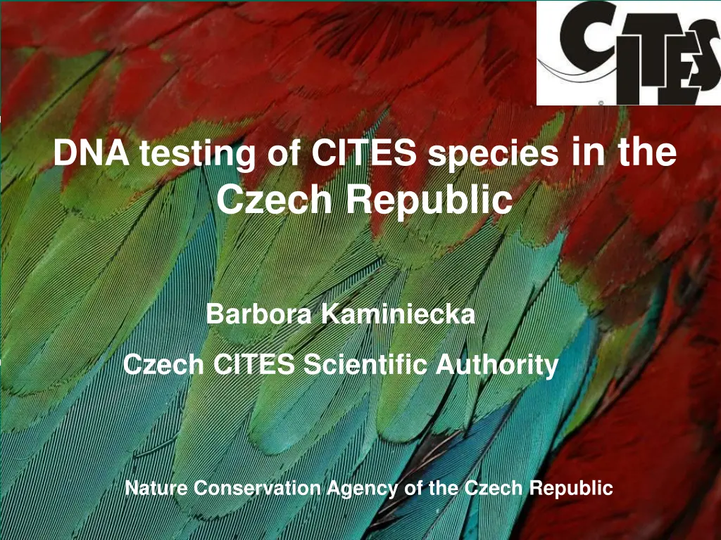 dna testing of cites species in the czech republic n.w