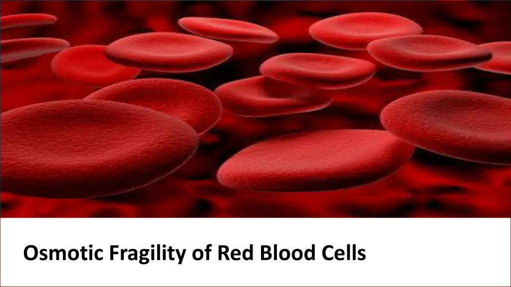 osmotic fragility of red blood cells n.w
