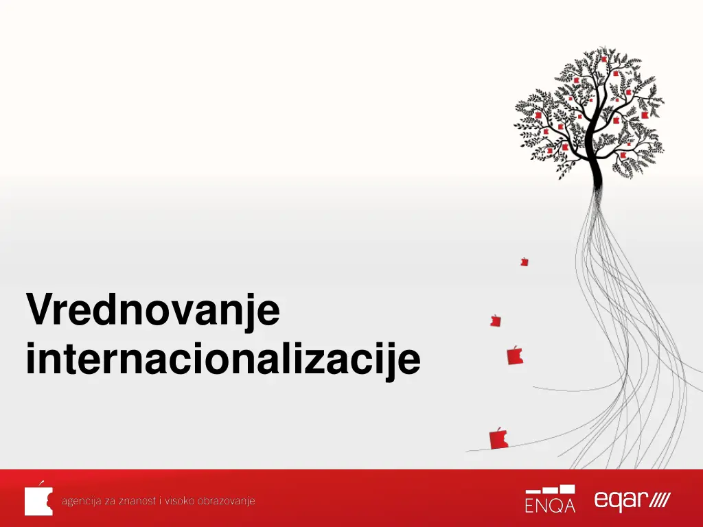 vrednovanje internacionalizacije n.w