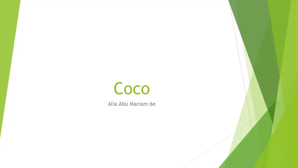 coco alia abu mariam 6e n.w