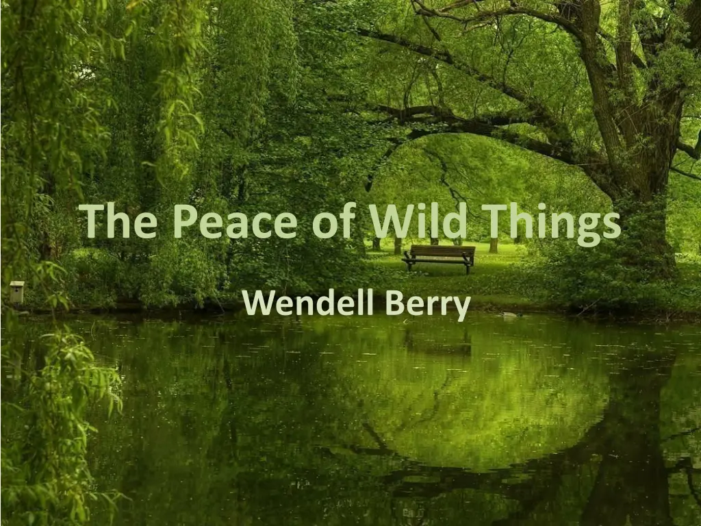 the peace of wild things n.w