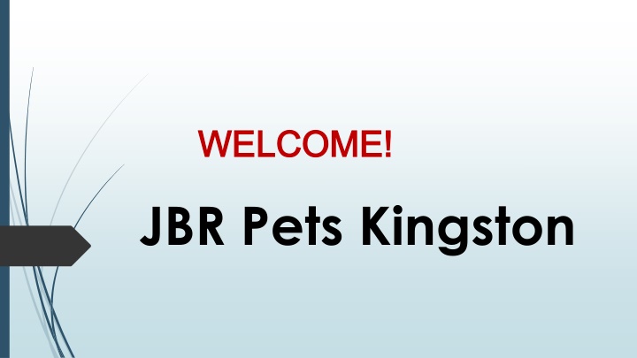 Best Puppy Training in Fyshwick
