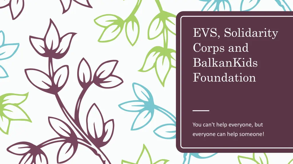 evs solidarity corps and balkankids foundation n.w