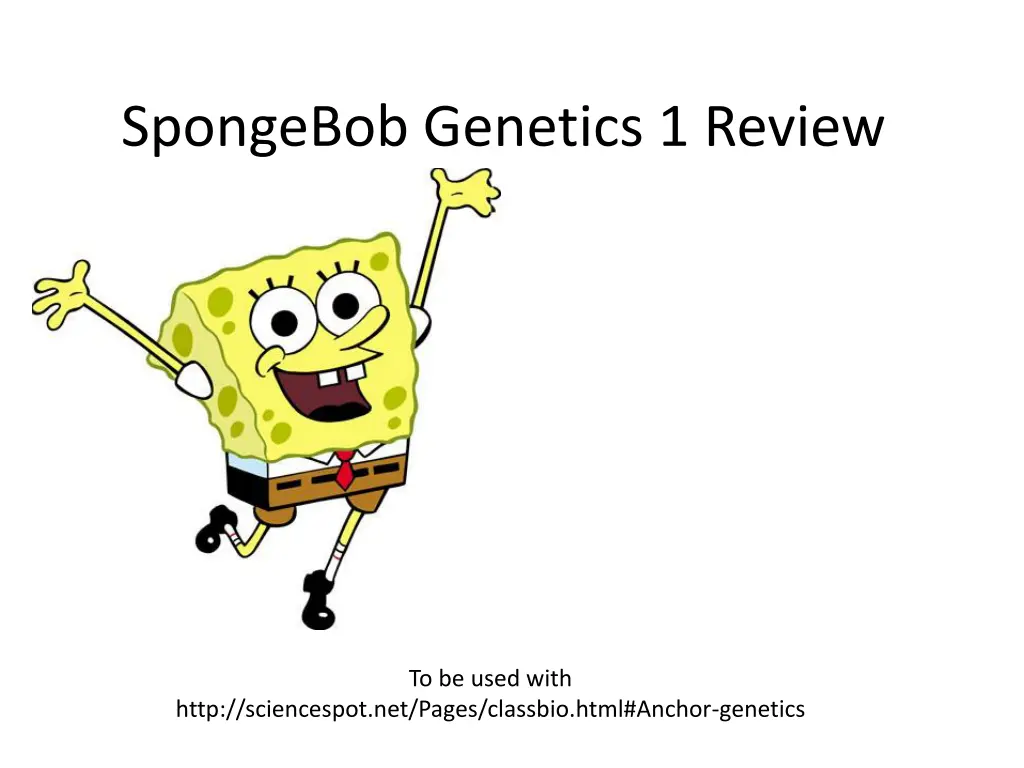spongebob genetics 1 review n.w