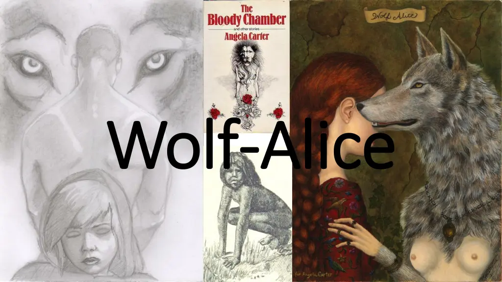 wolf wolf alice n.w