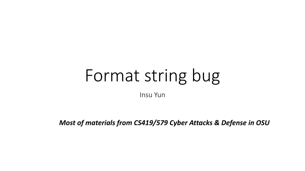 format string bug n.w