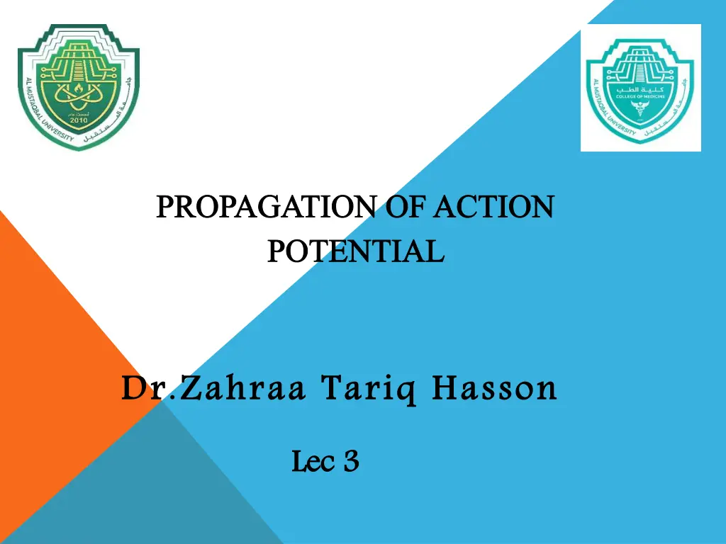propagation of action potential n.w