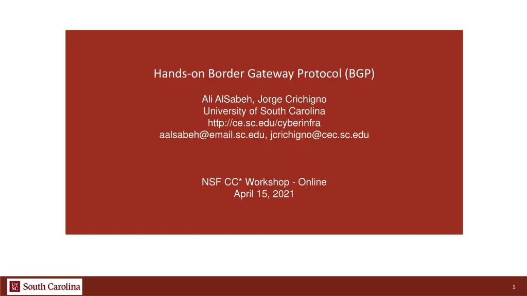 hands on border gateway protocol bgp n.w