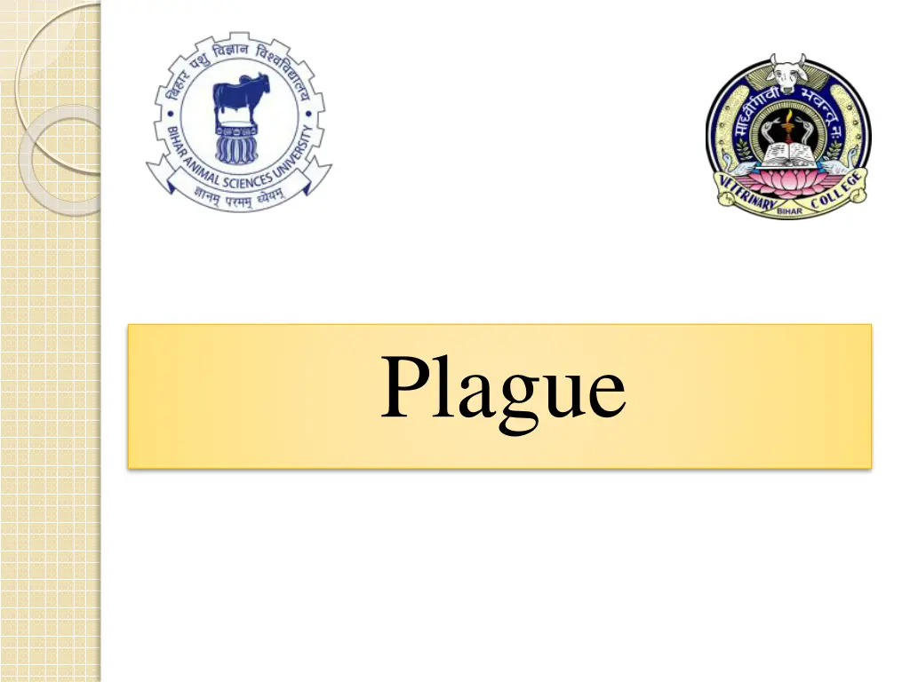 plague n.w