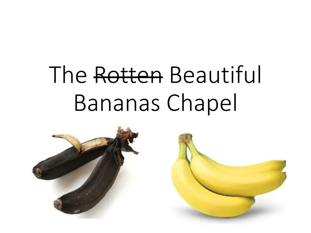 the rotten beautiful bananas chapel n.w