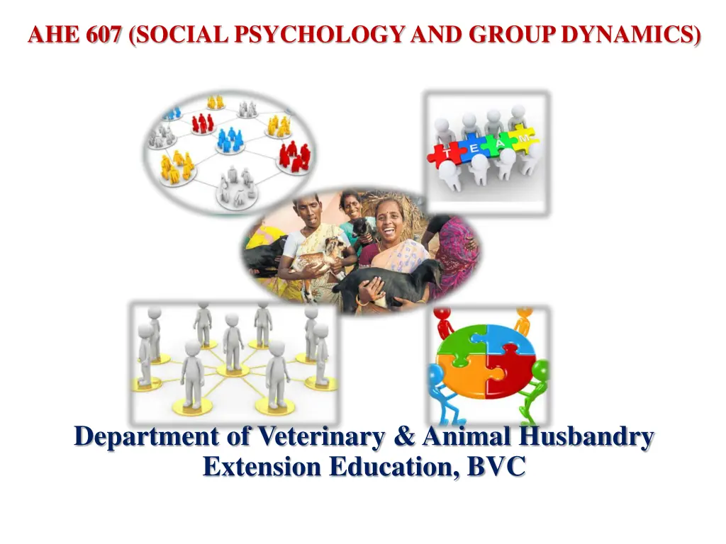 ahe 607 social psychology and group dynamics n.w