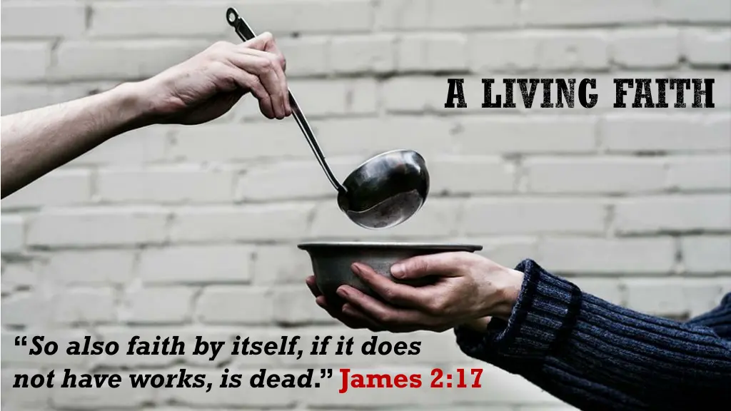 a living faith n.w