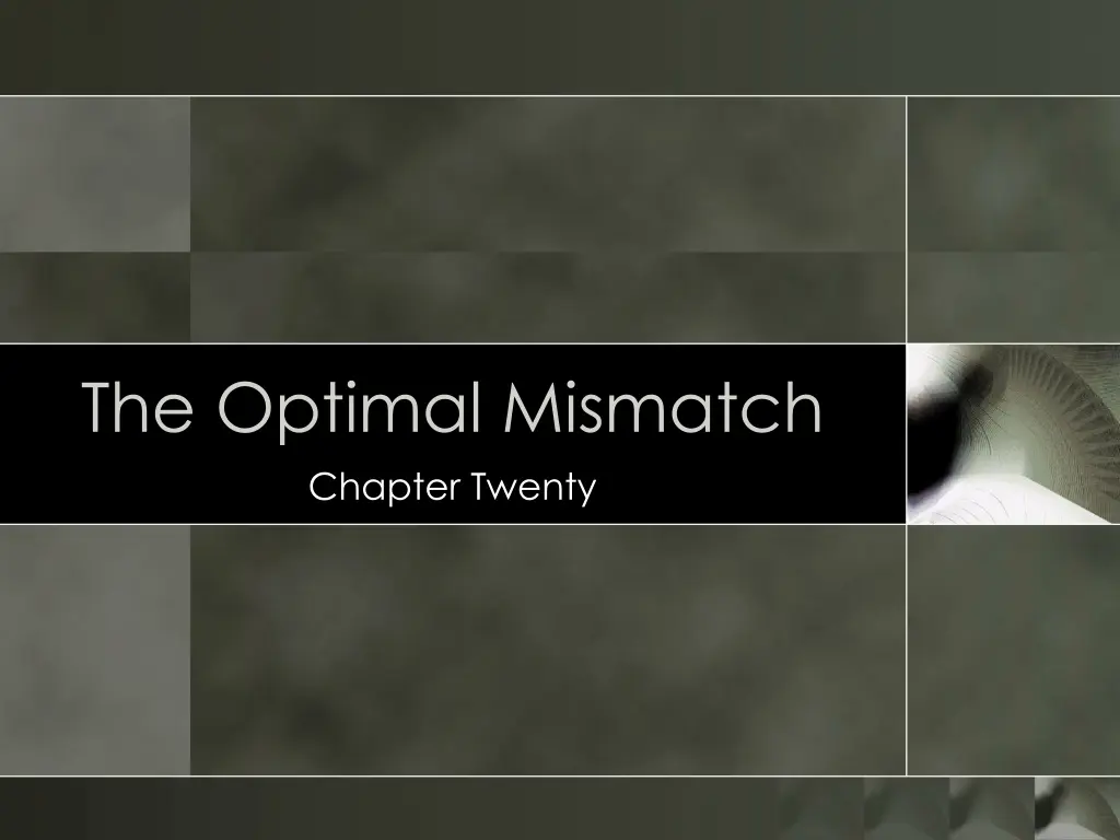 the optimal mismatch chapter twenty n.w