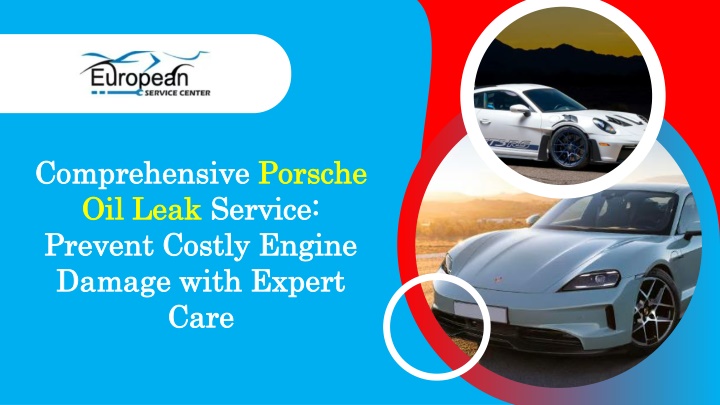 Comprehensive Porsche Oil Leak Service Prevent Costly Engine Damage with Expert Care