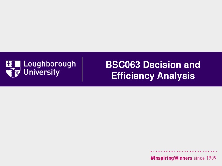 Decision and Efficiency Analysis Module Overview